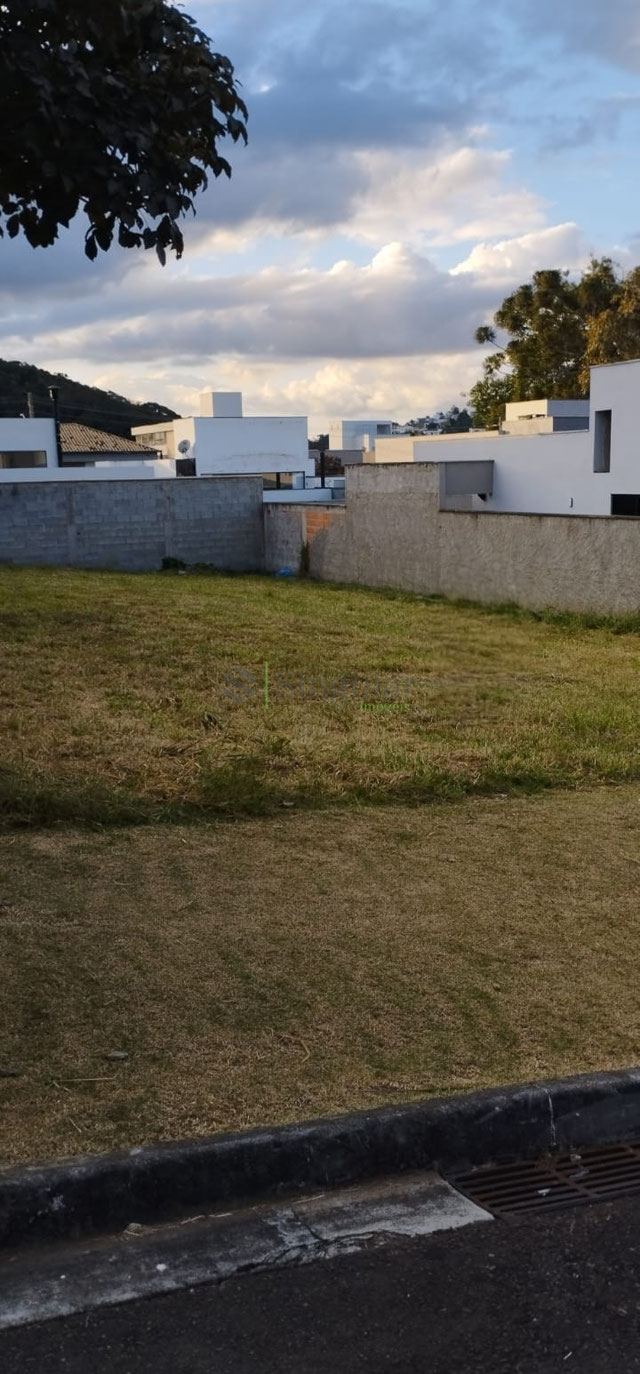 Lote