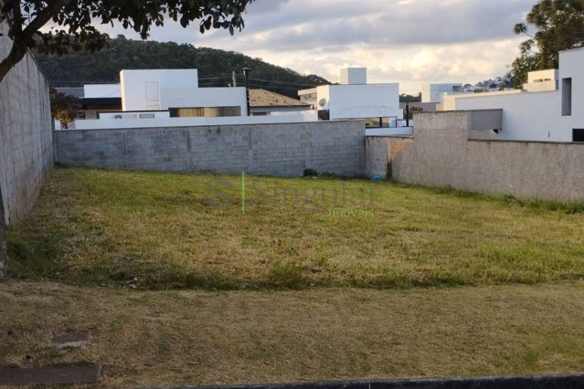 Lote