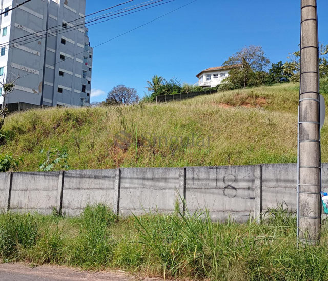 Foto cadastro cód. 538