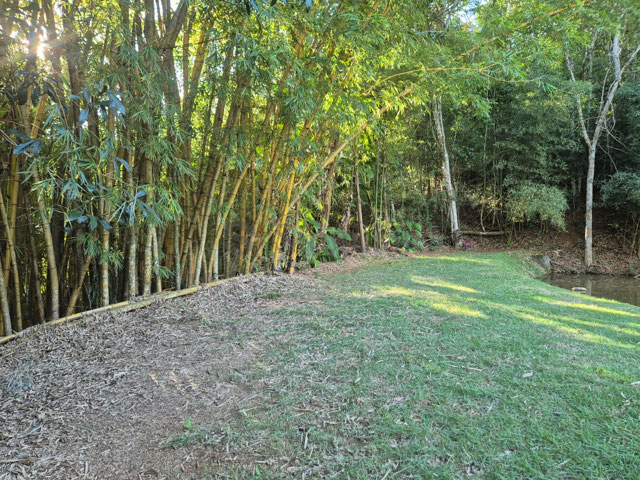 Área Gramada