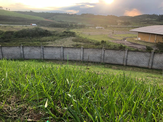 Foto cadastro cód. 748