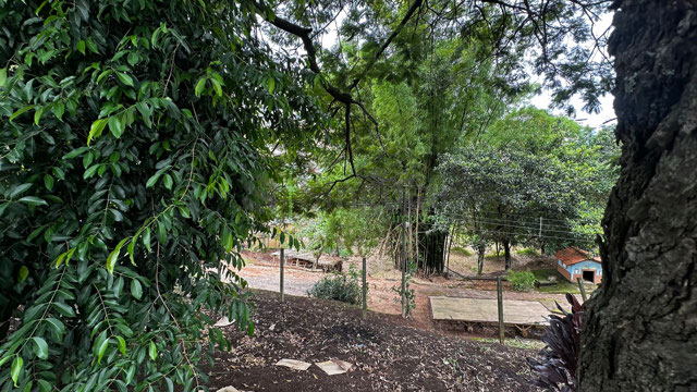 Foto cadastro cód. 754