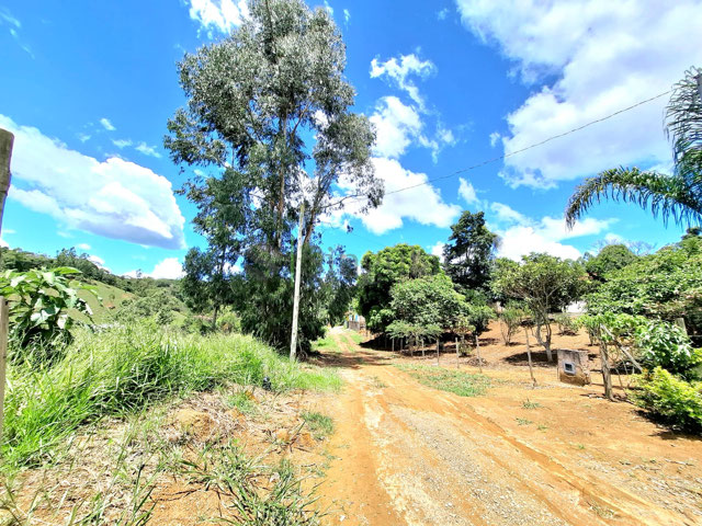 Foto cadastro cód. 774