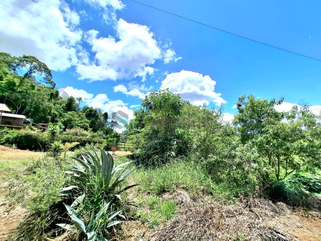 Foto cadastro cód. 774