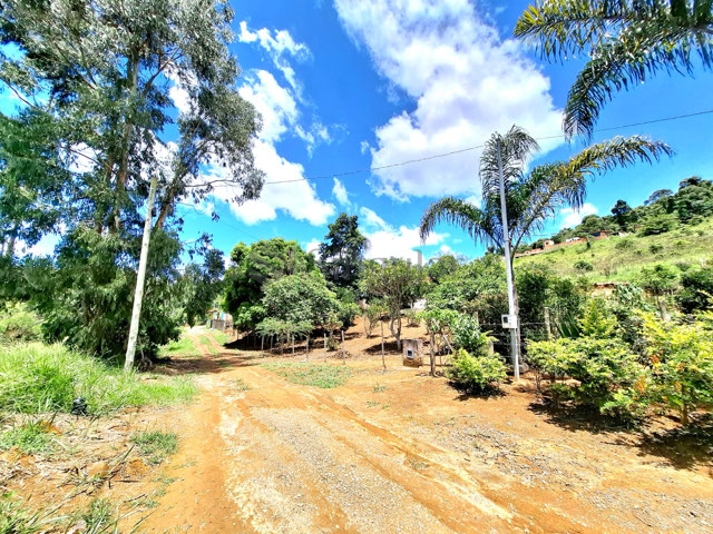 Foto cadastro cód. 774