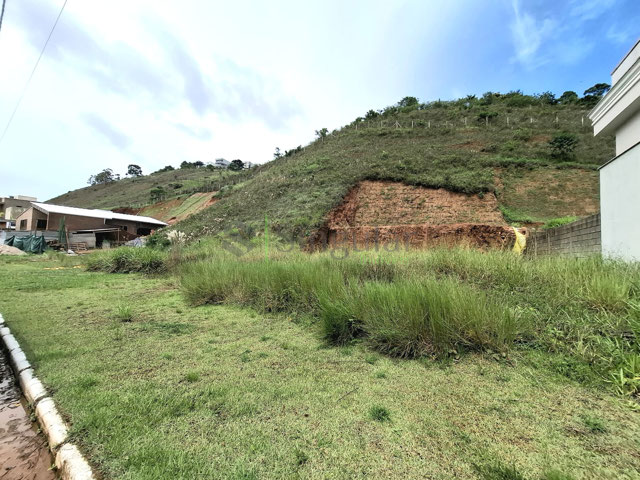 Foto cadastro cód. 782