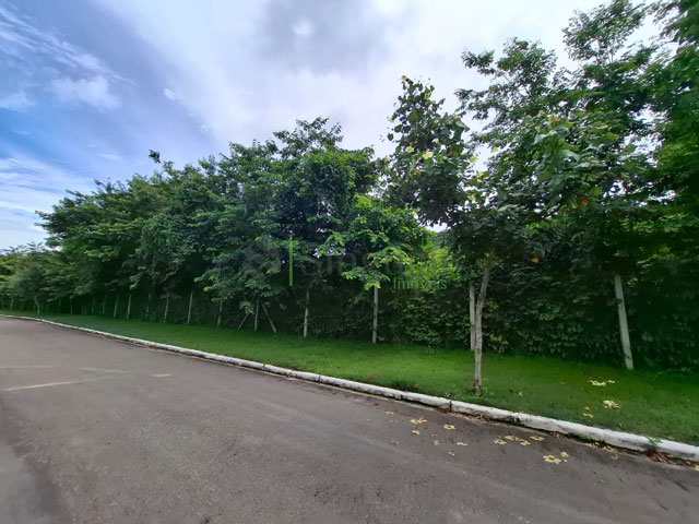 Foto cadastro cód. 782