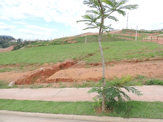 Cond. Estrela Alta no bairro Salvaterra Terreno no condomínio Estrela Alta para venda Valor R$ 42.000.000,00.