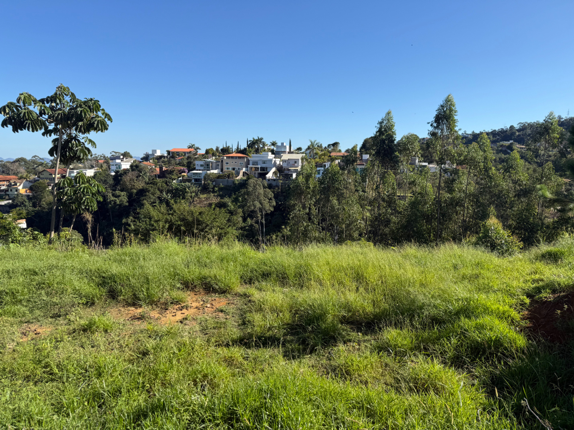 Parque Jardim da Serra: Terreno com 451m² e vista da montanha., foto 2