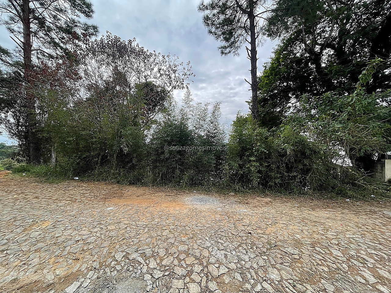 Lote no Parque Alto. 504m²., foto 1