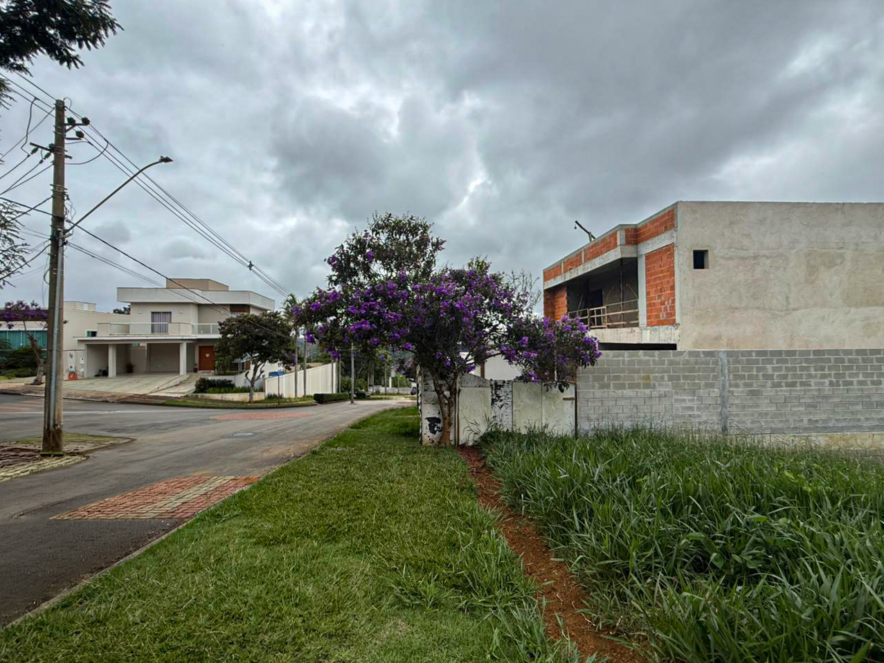 Alvim: Lote com vista para reserva, foto 4