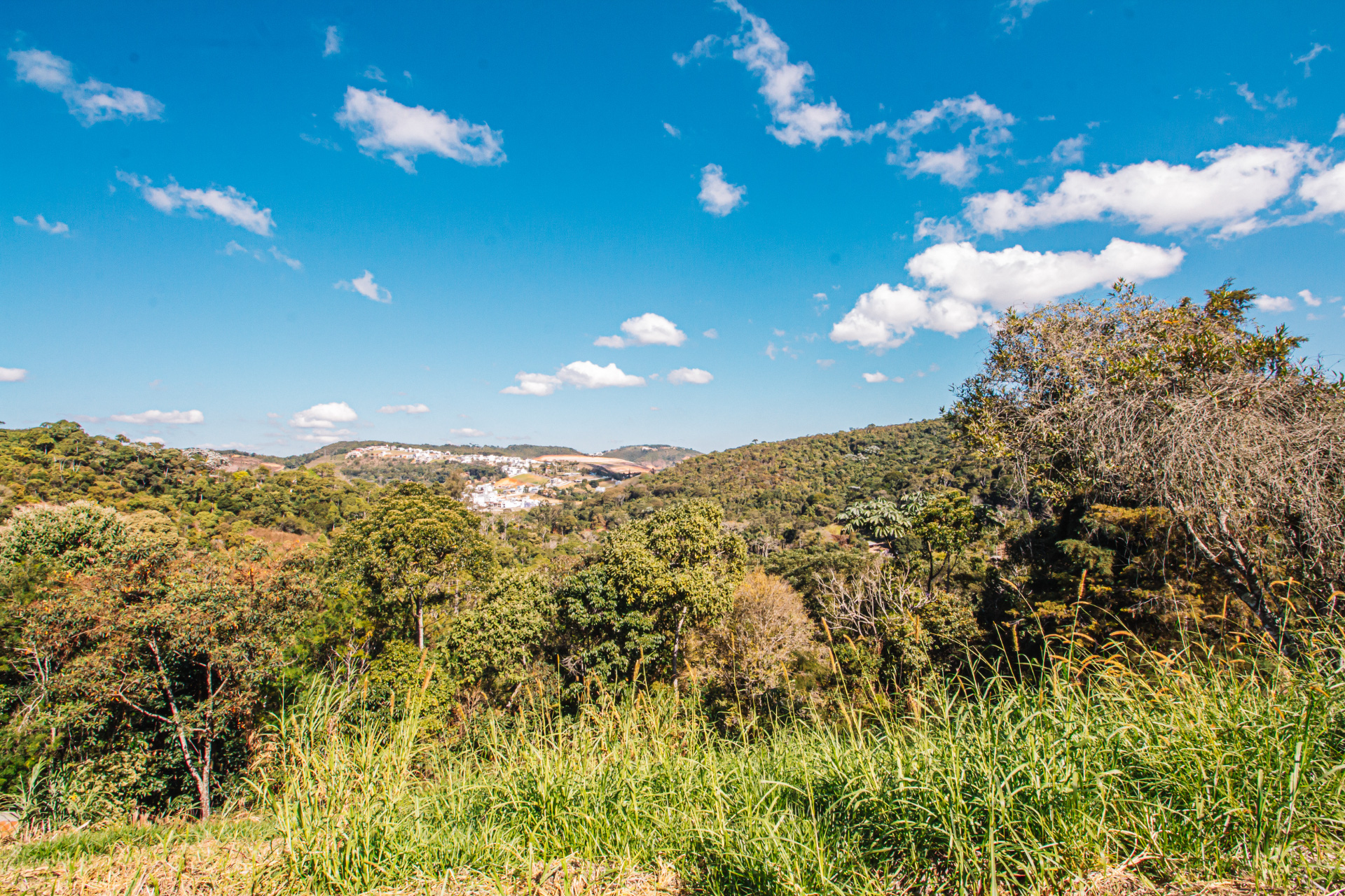 Bosque do Imperador. Lote com vista para preservação., foto 3