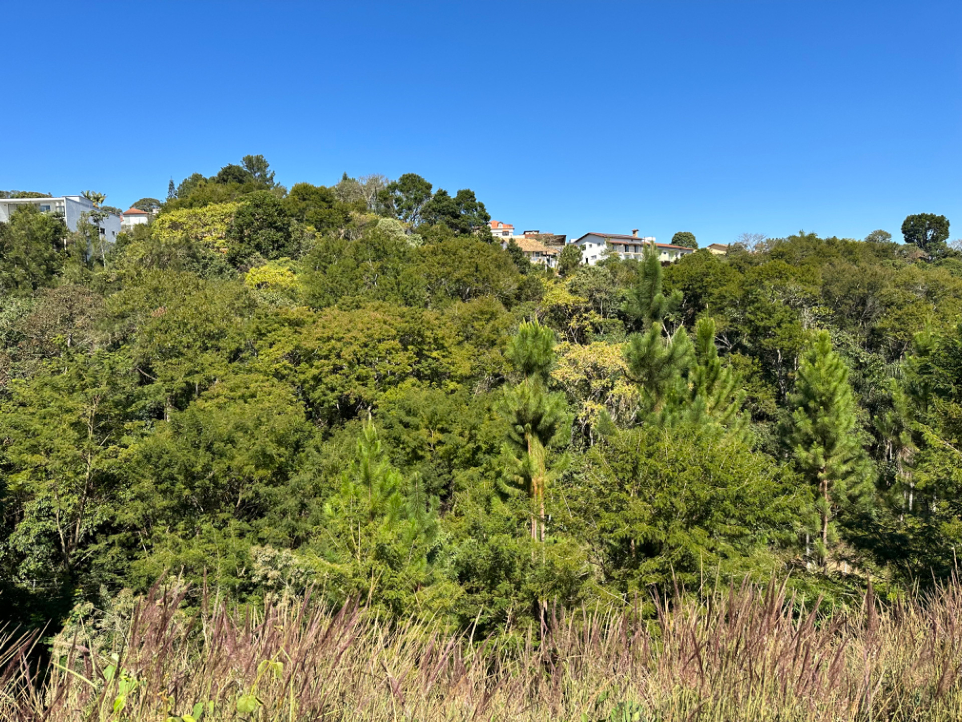 São Pedro: Terreno de 604m², vista para preservação, foto 3