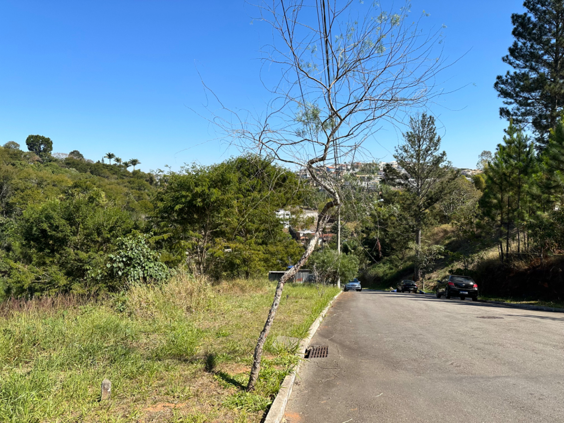 São Pedro: Terreno de 604m², vista para preservação, foto 4