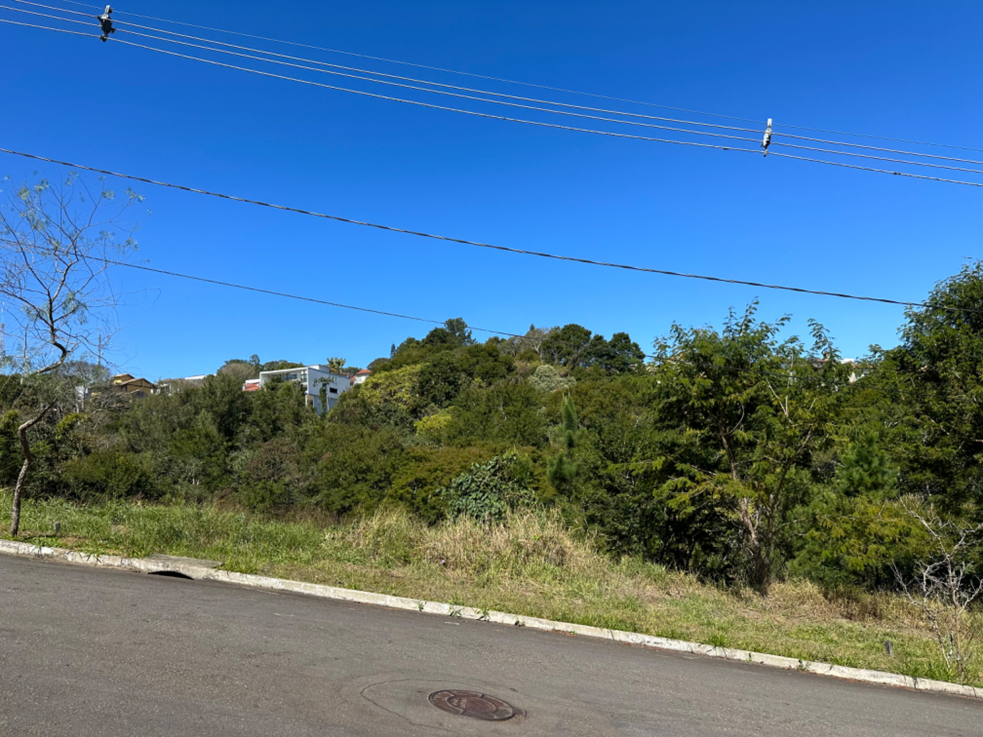 São Pedro: Terreno de 604m², vista para preservação, foto 2