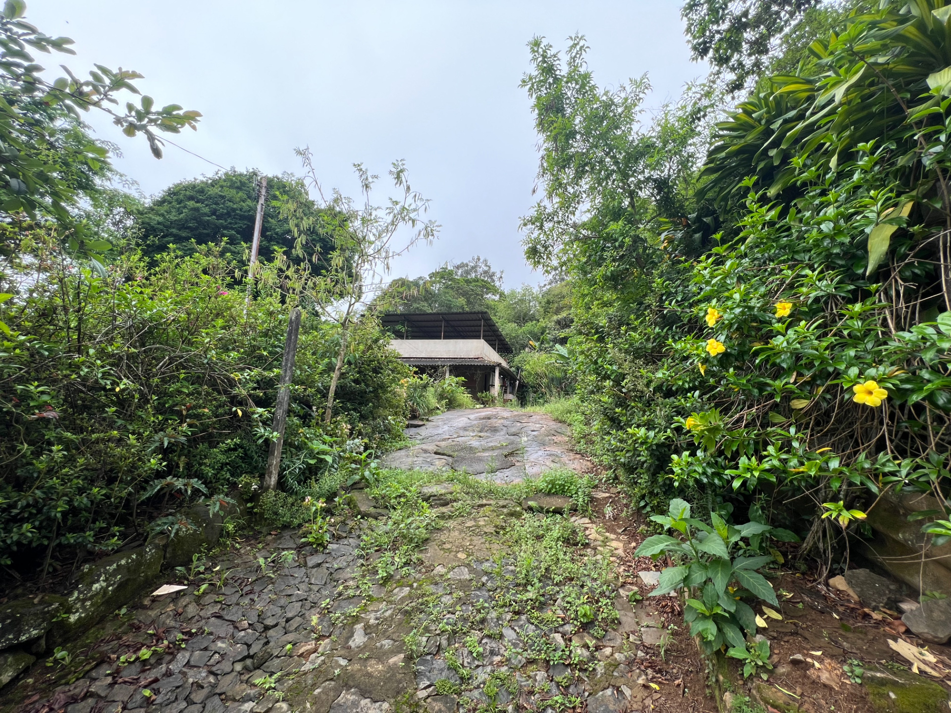 Terreno em São Pedro, 1520 m², topografia facilita., foto 2
