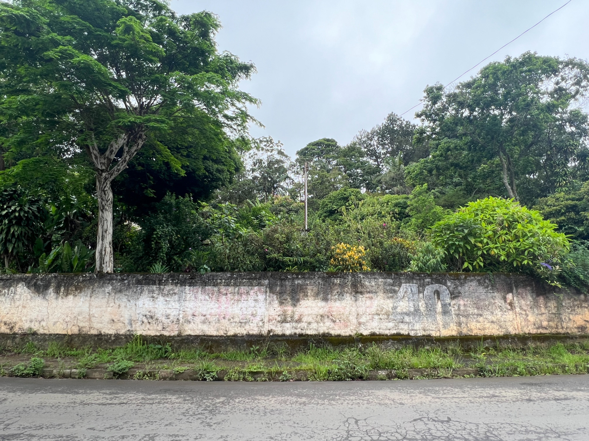 Terreno em São Pedro, 1520 m², topografia facilita., foto 4