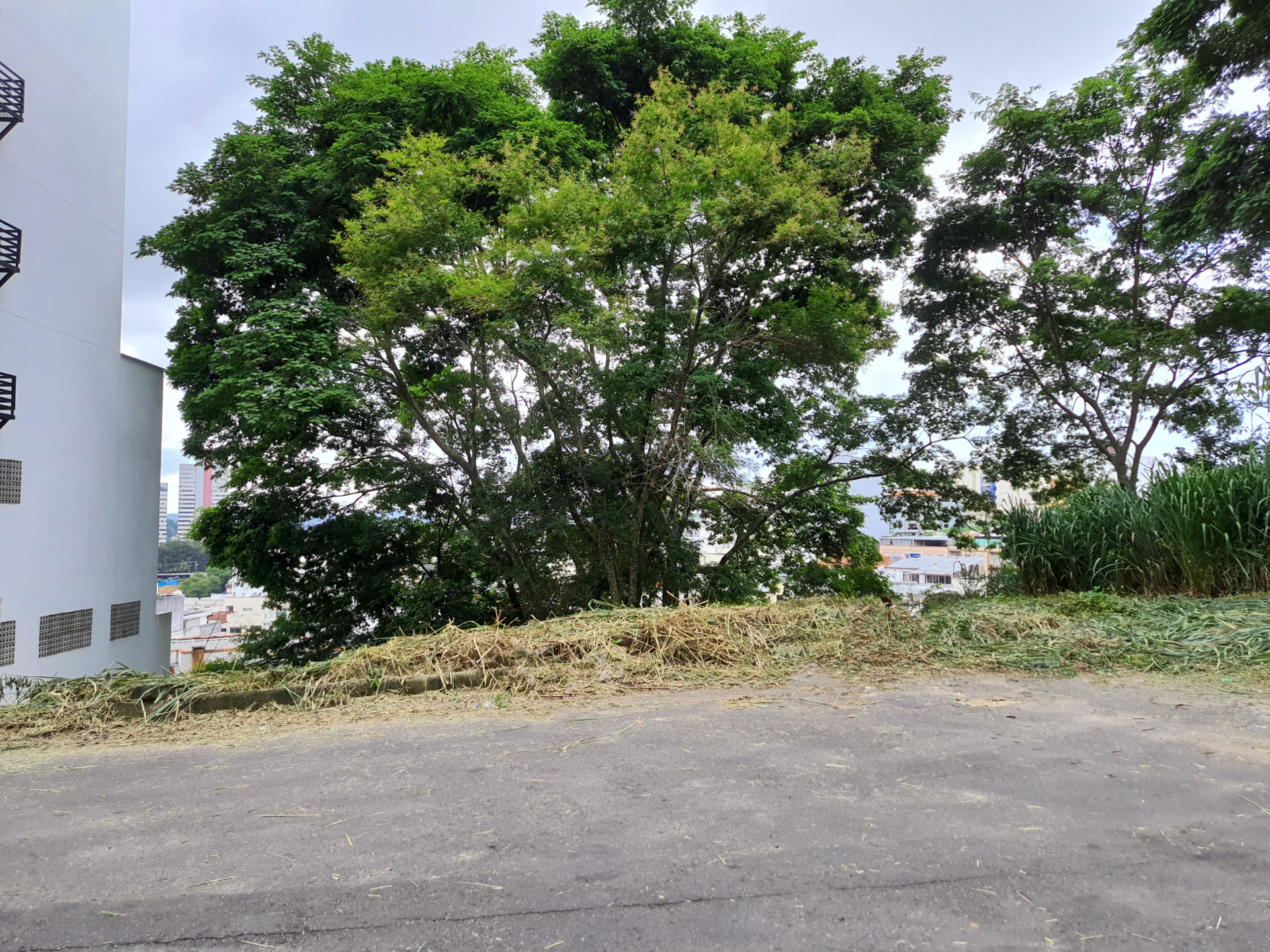 Cascatinha: Terreno com bom potencial de construção., foto 4
