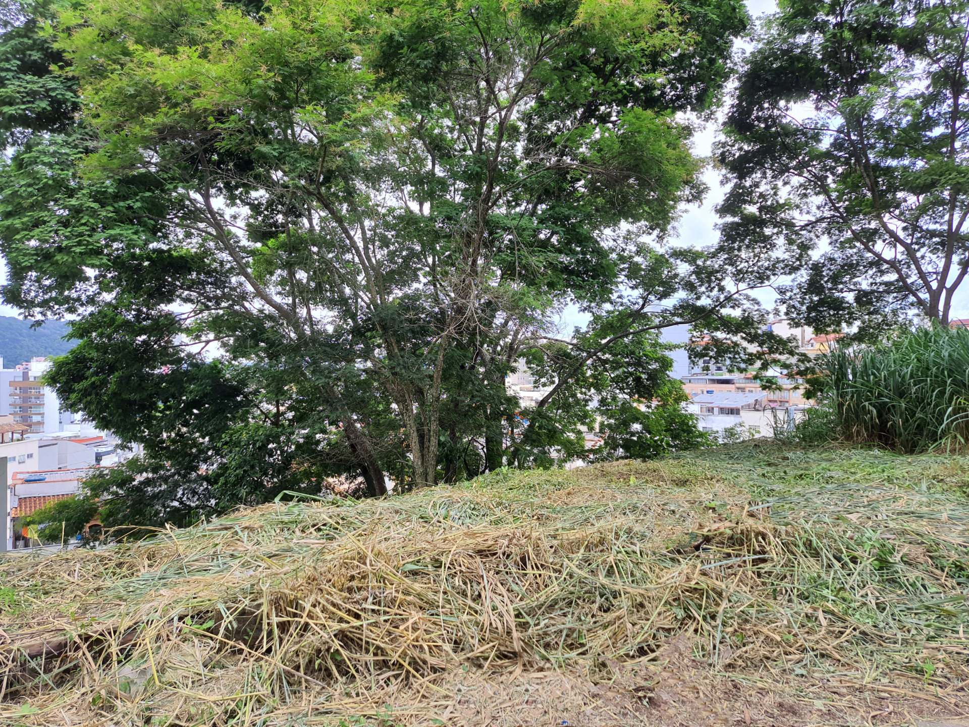 Cascatinha: Terreno com bom potencial de construção., foto 2