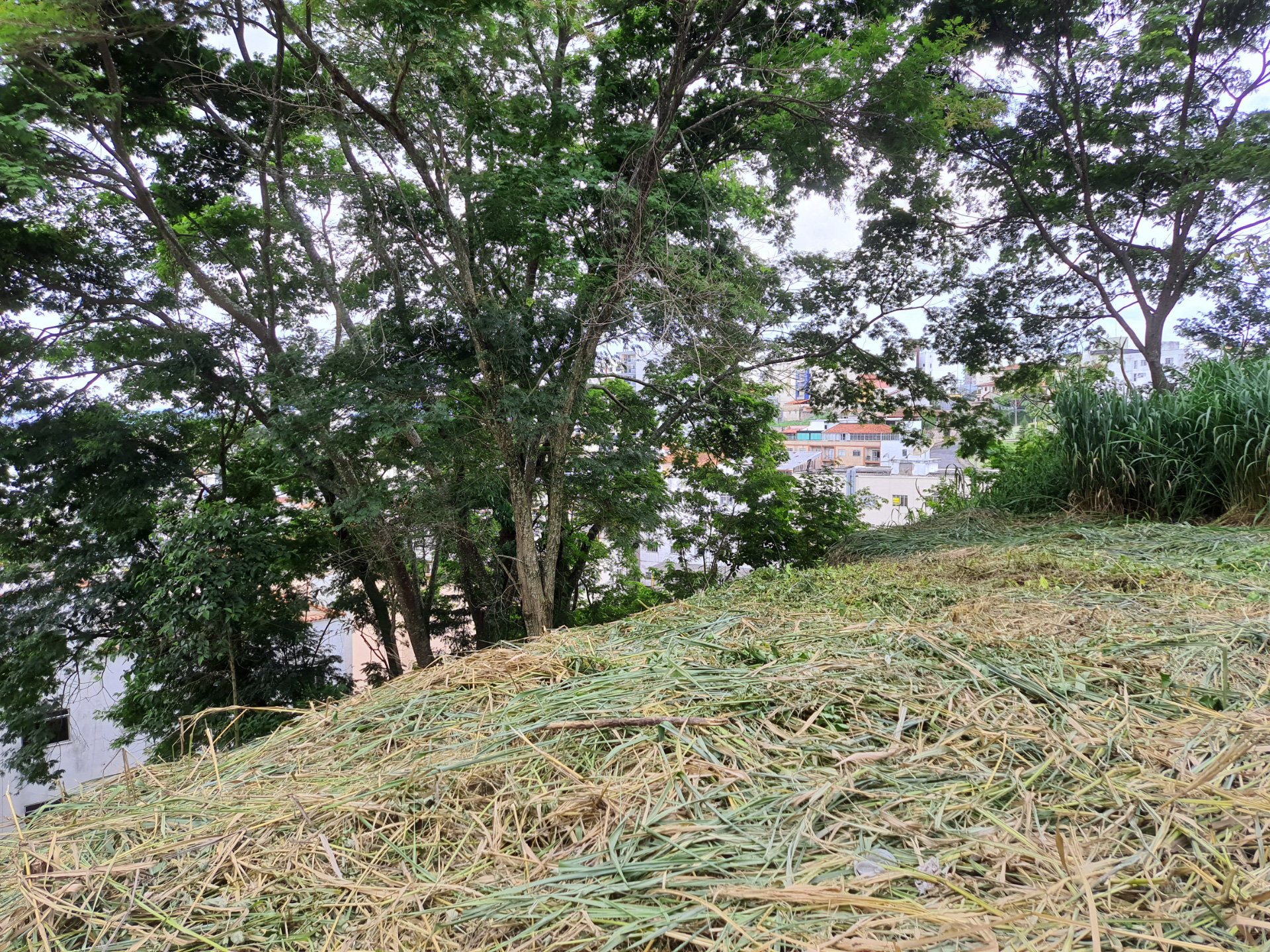 Cascatinha: Terreno com bom potencial de construção., foto 3