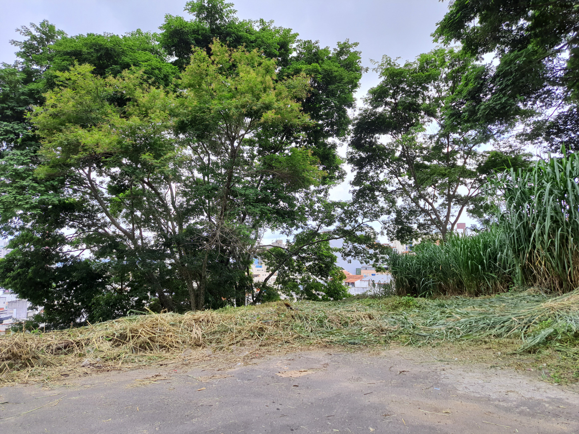 Cascatinha: Terreno com bom potencial de construção., foto 1