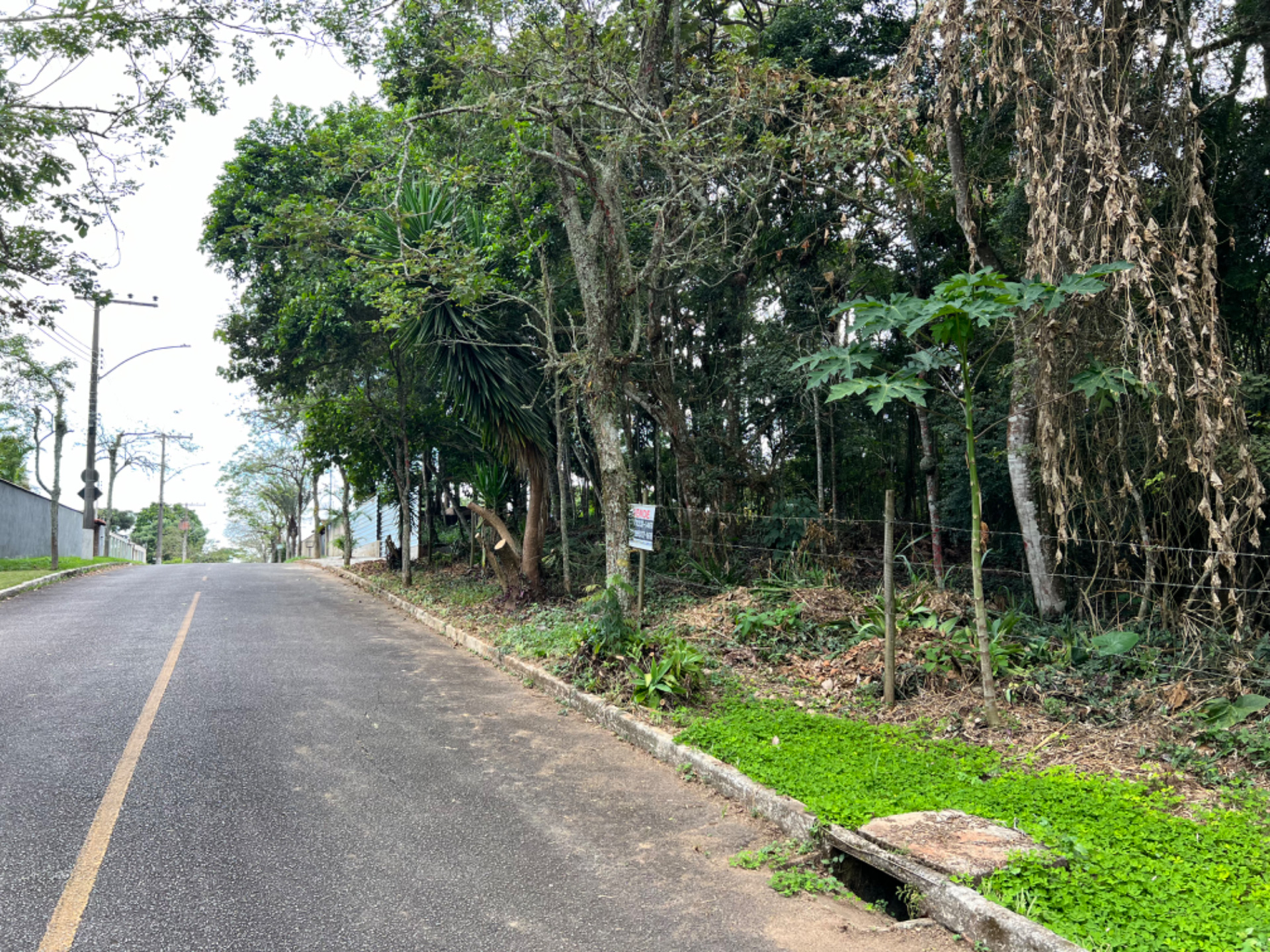 Terreno de 1940m² no Bosque do Imperador. Espaço para criar., foto 6