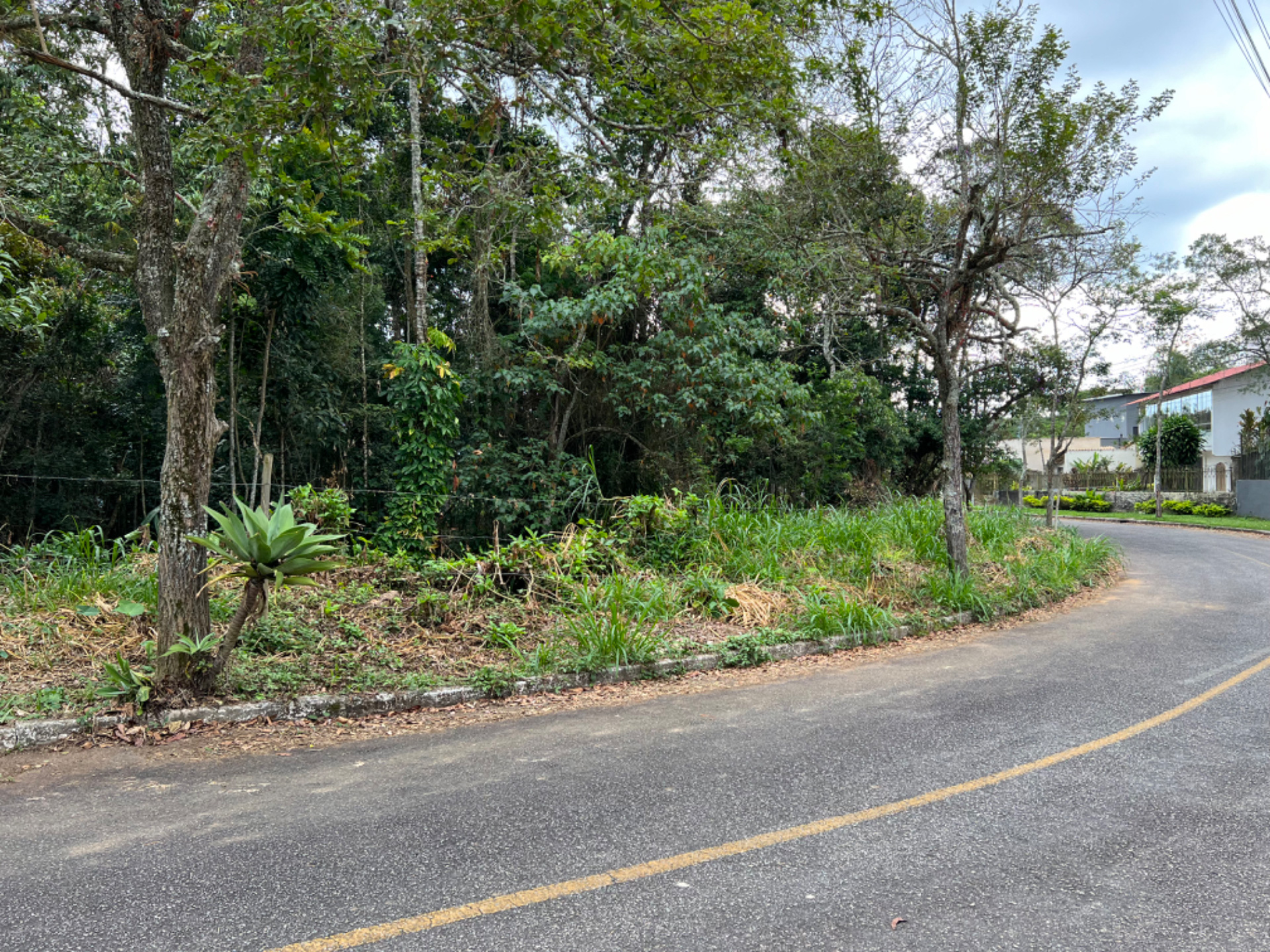 Terreno de 1940m² no Bosque do Imperador. Espaço para criar., foto 5