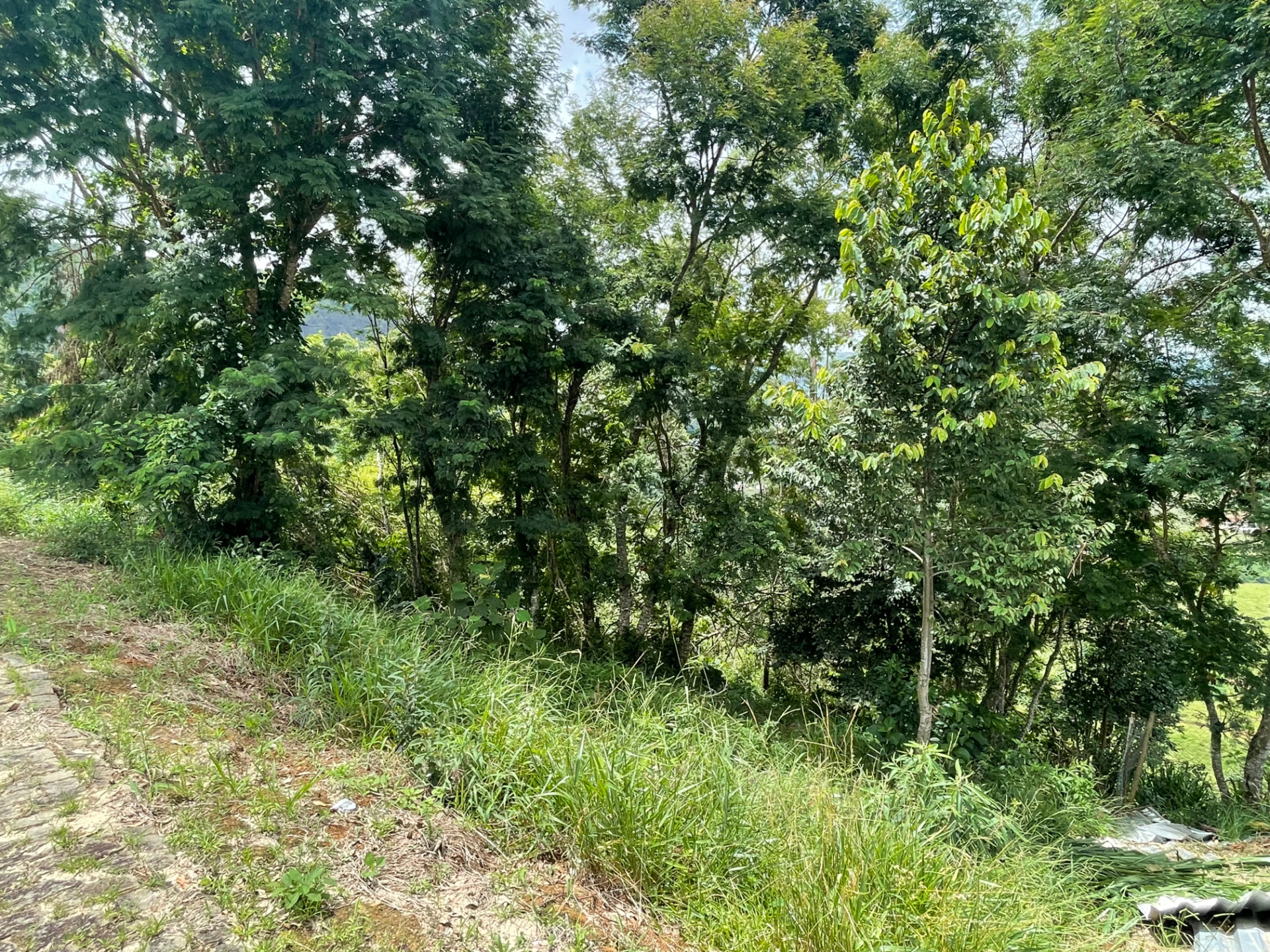 Terreno 1.102m². Projeto aprovado. Novo Horizonte., foto 4