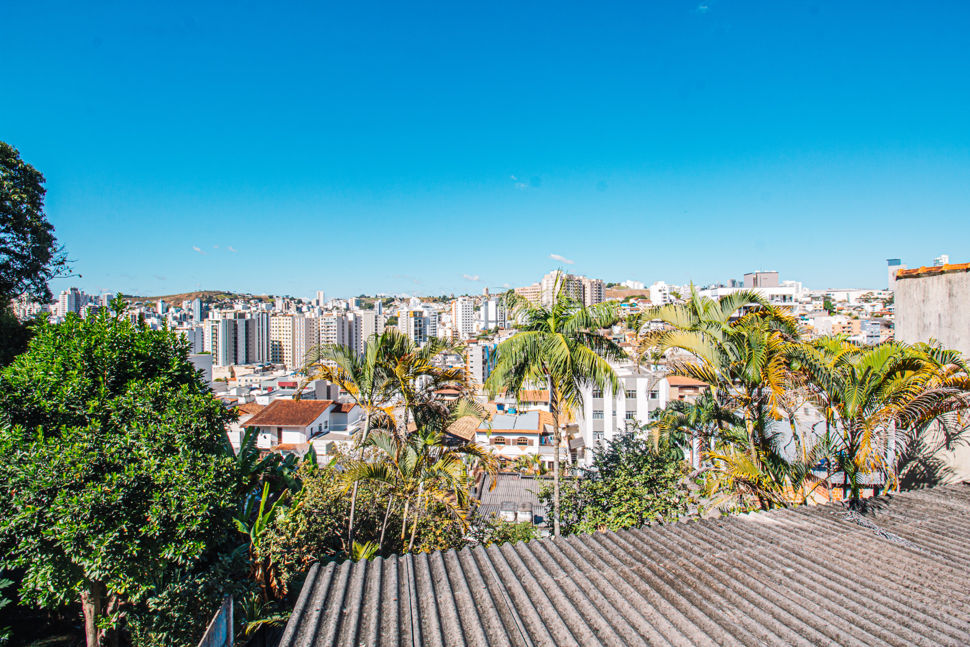 Paineiras: Casa, 271m², vista livre. Grande terreno., foto 13