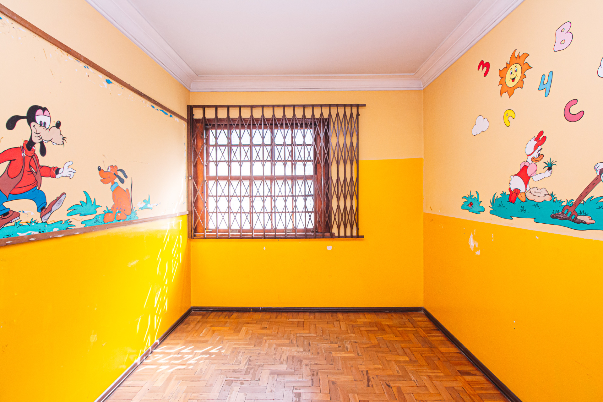 Paineiras: Casa, 271m², vista livre. Grande terreno., foto 9