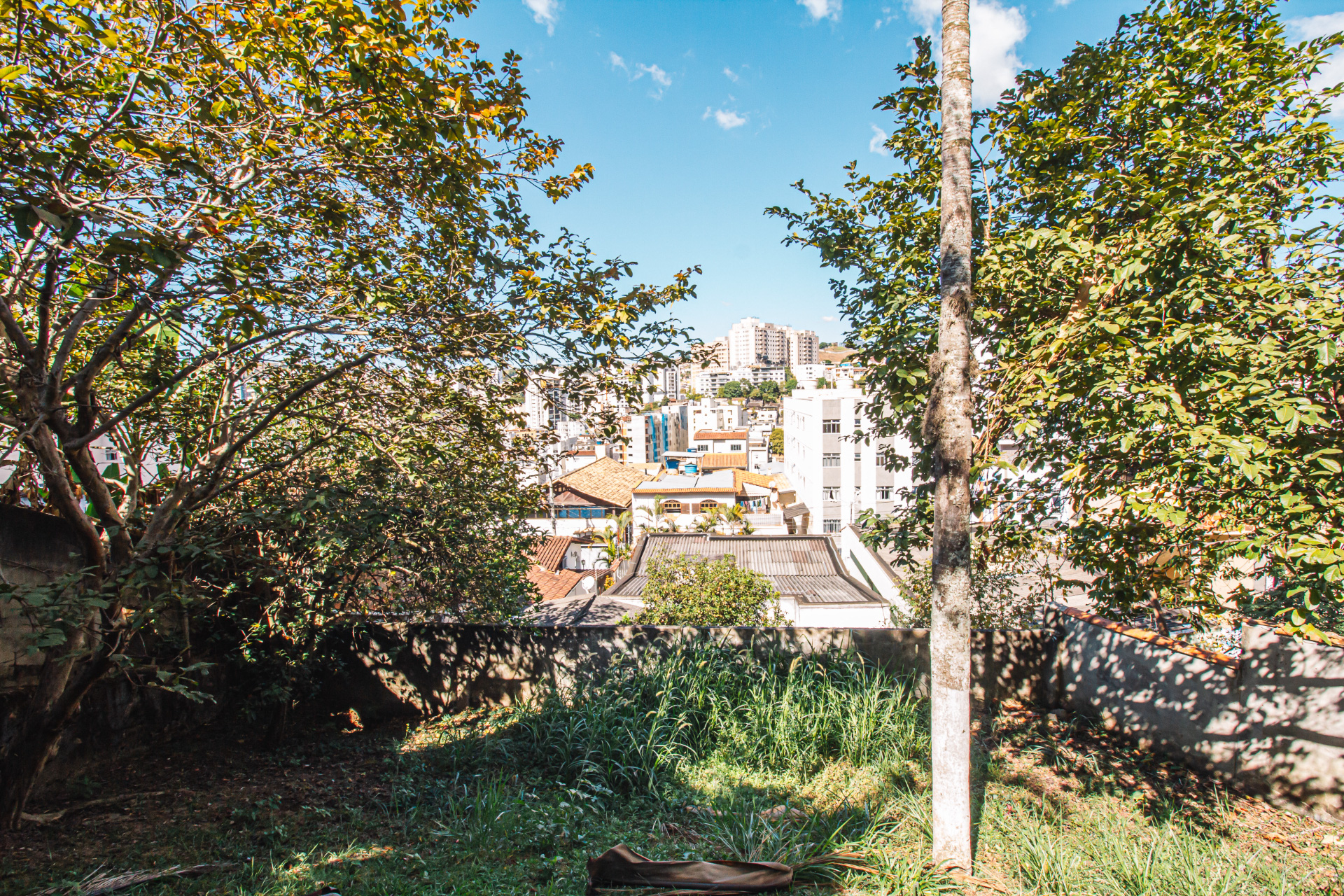 Paineiras: Casa, 271m², vista livre. Grande terreno., foto 16