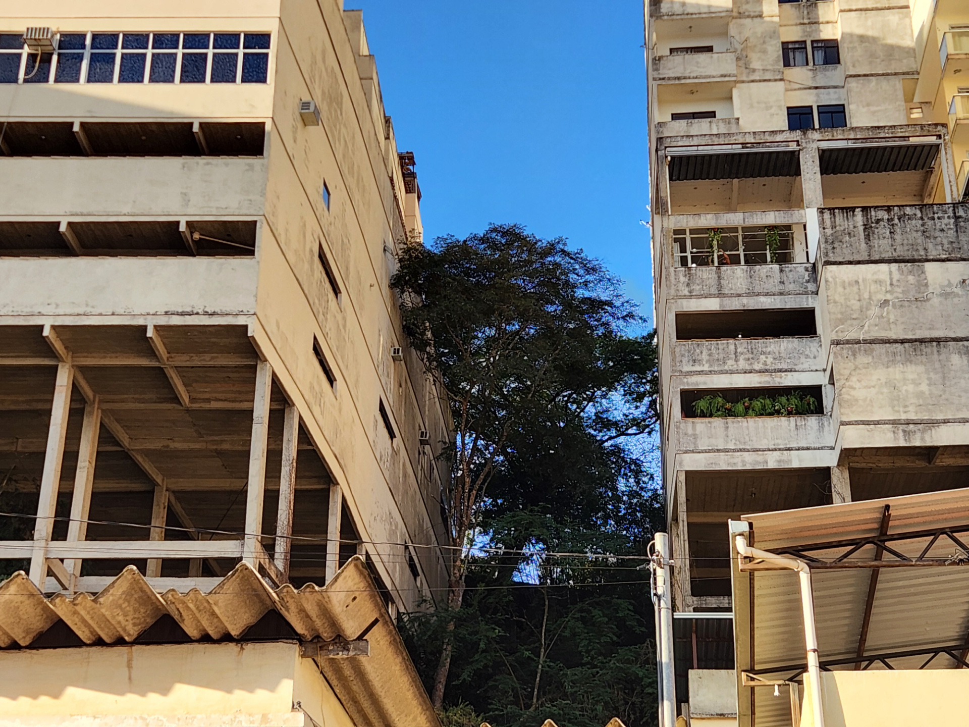 Terreno na Barão do Rio Branco, Boa Vista., foto 7