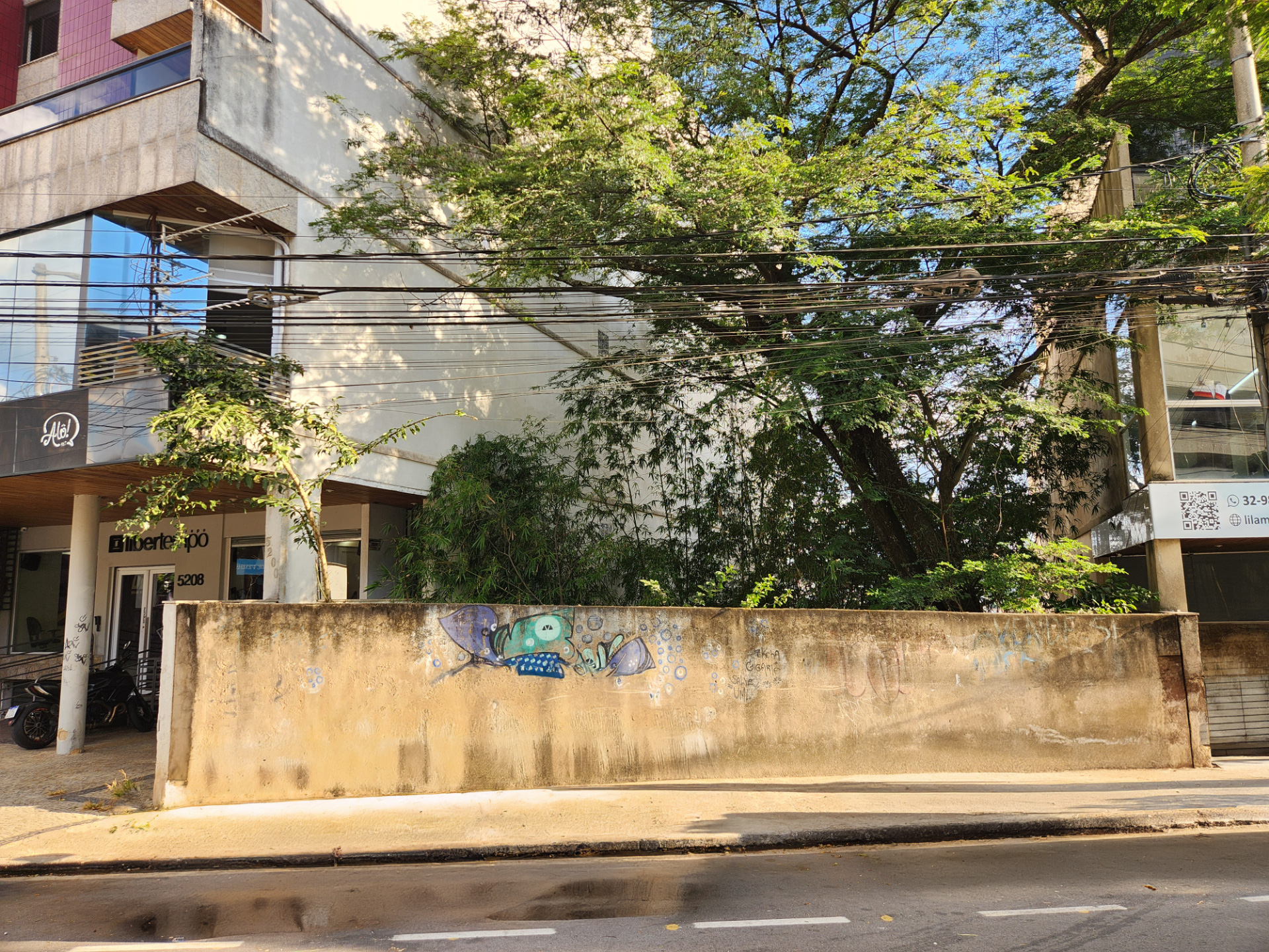 Terreno na Barão do Rio Branco, Boa Vista., foto 1