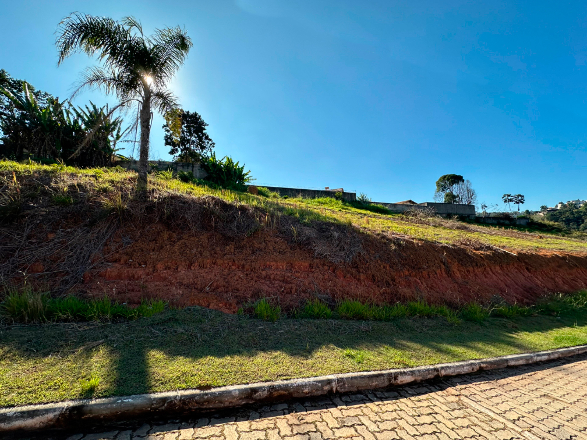 Terreno 427 m² no Salvaterra. Espaço e natureza., foto 1