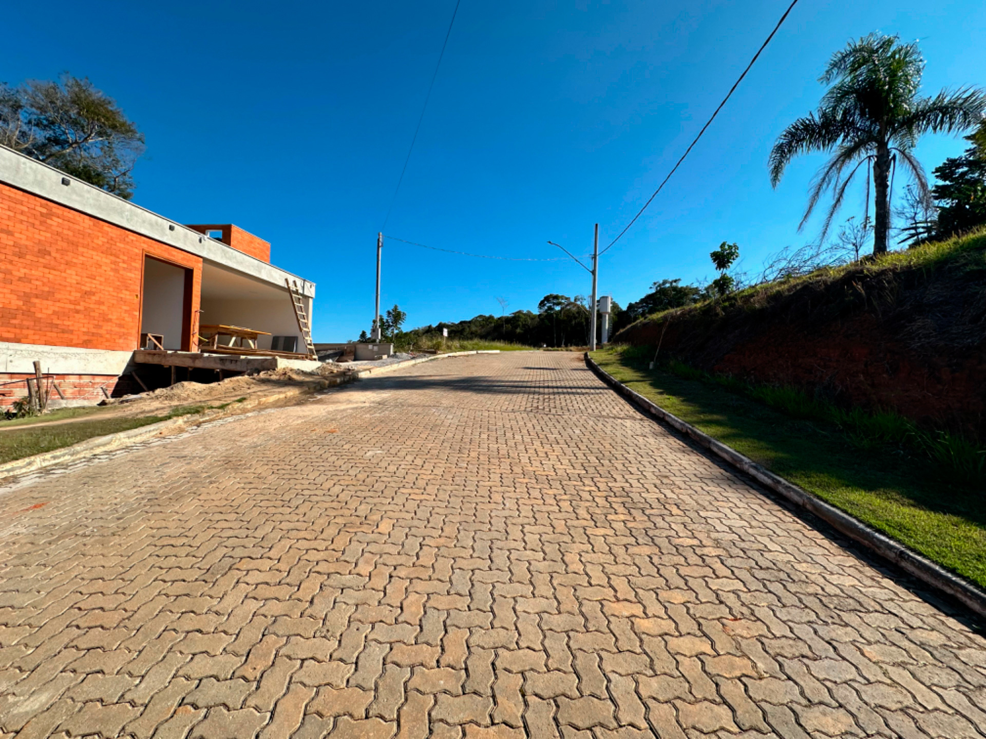 Terreno 427 m² no Salvaterra. Espaço e natureza., foto 3