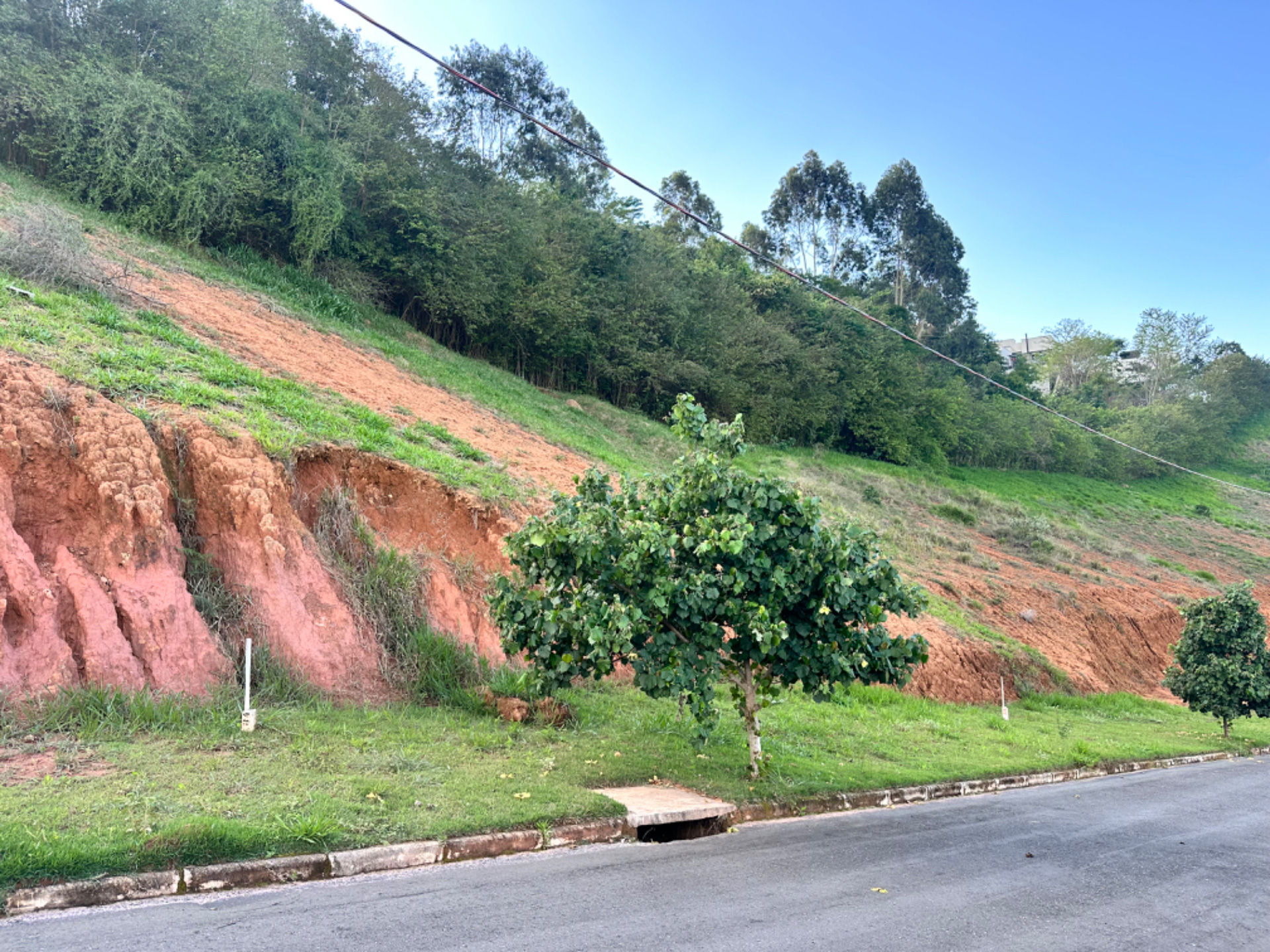 São Pedro: 442 m² para a sua casa ou projeto, foto 2