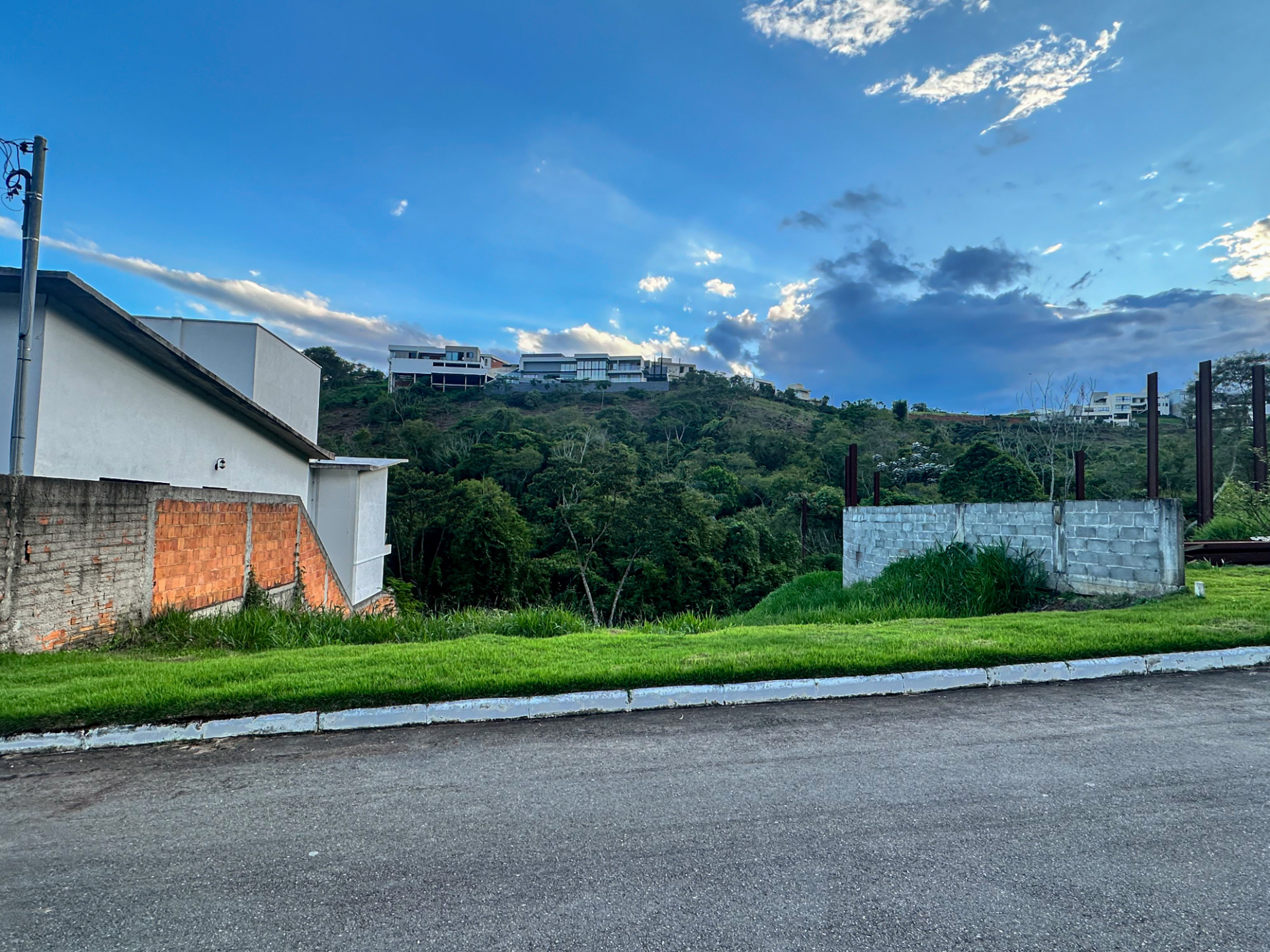 Vista para a mata no Aeroporto. Natureza no quintal., foto 2