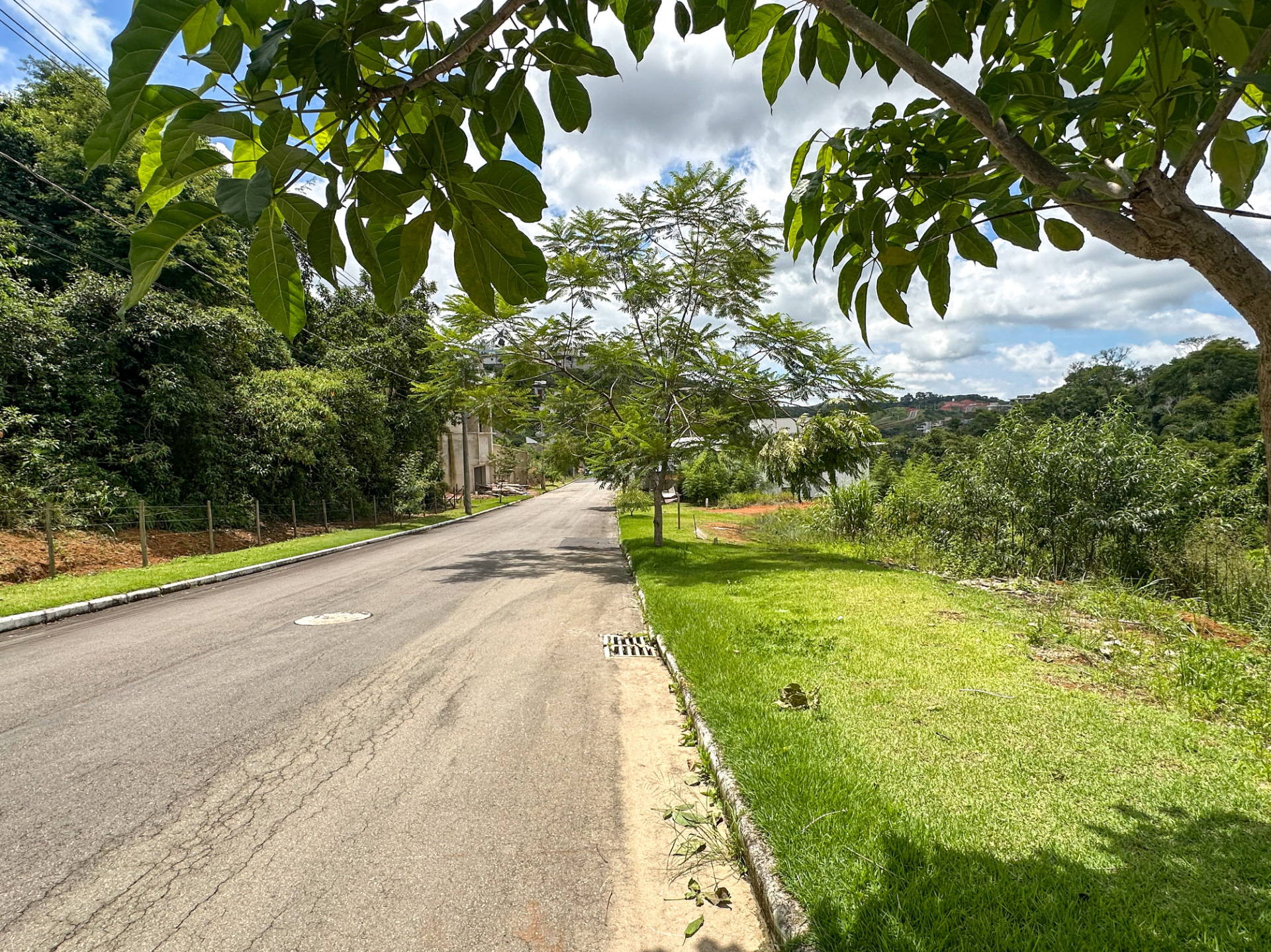 Lote no Novo Horizonte. Vista livre para a mata., foto 3