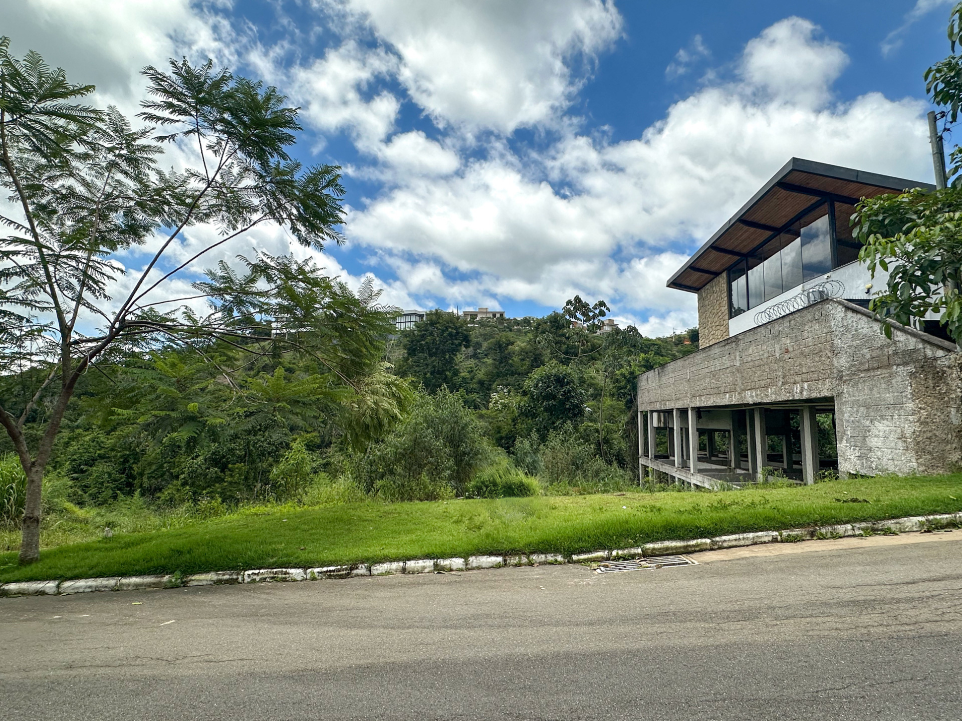 Lote no Novo Horizonte. Vista livre para a mata., foto 1