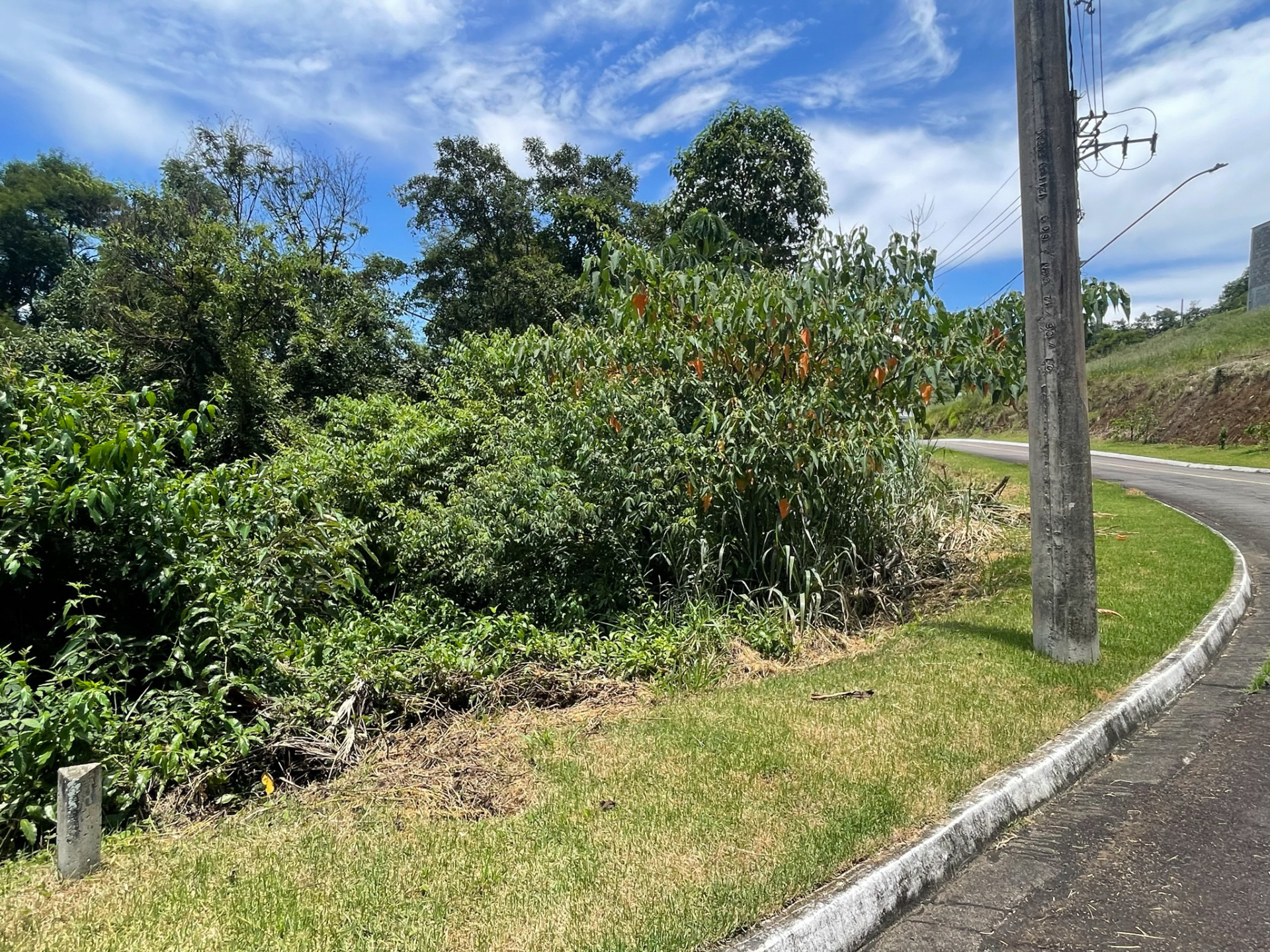 Terreno no Aeroporto. Medida ótima, integrado à natureza., foto 9