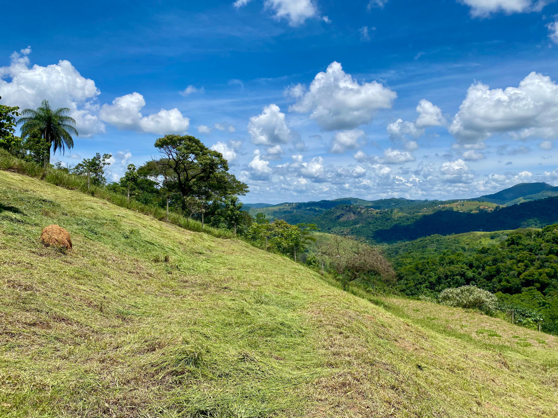 Salvaterra: Terreno de 491 m², cercado pela natureza., foto 3