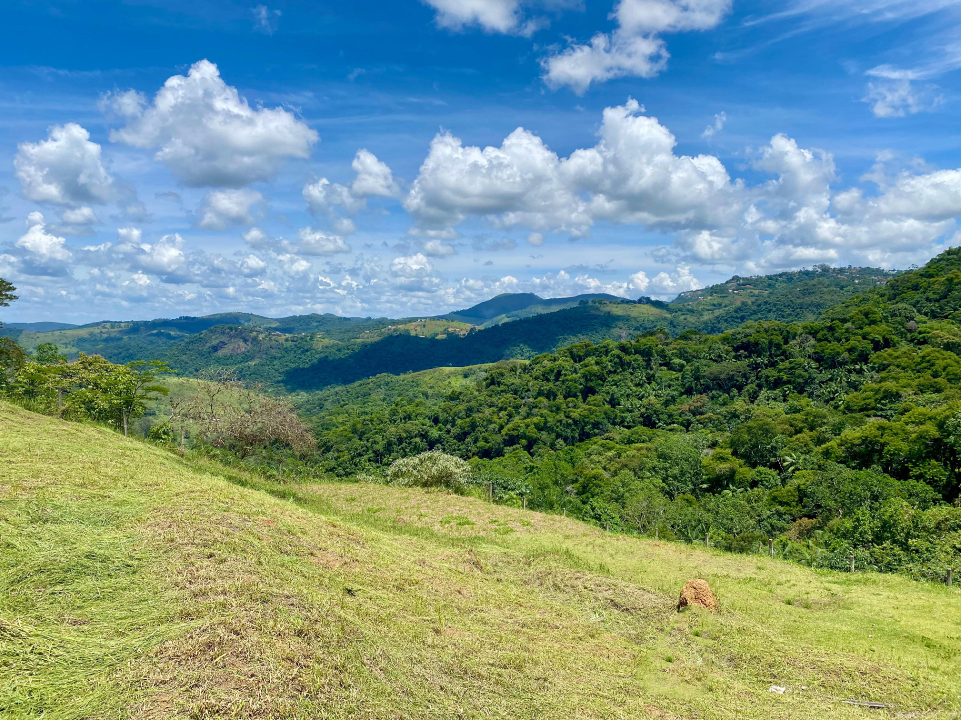 Salvaterra: Terreno de 491 m², cercado pela natureza., foto 1