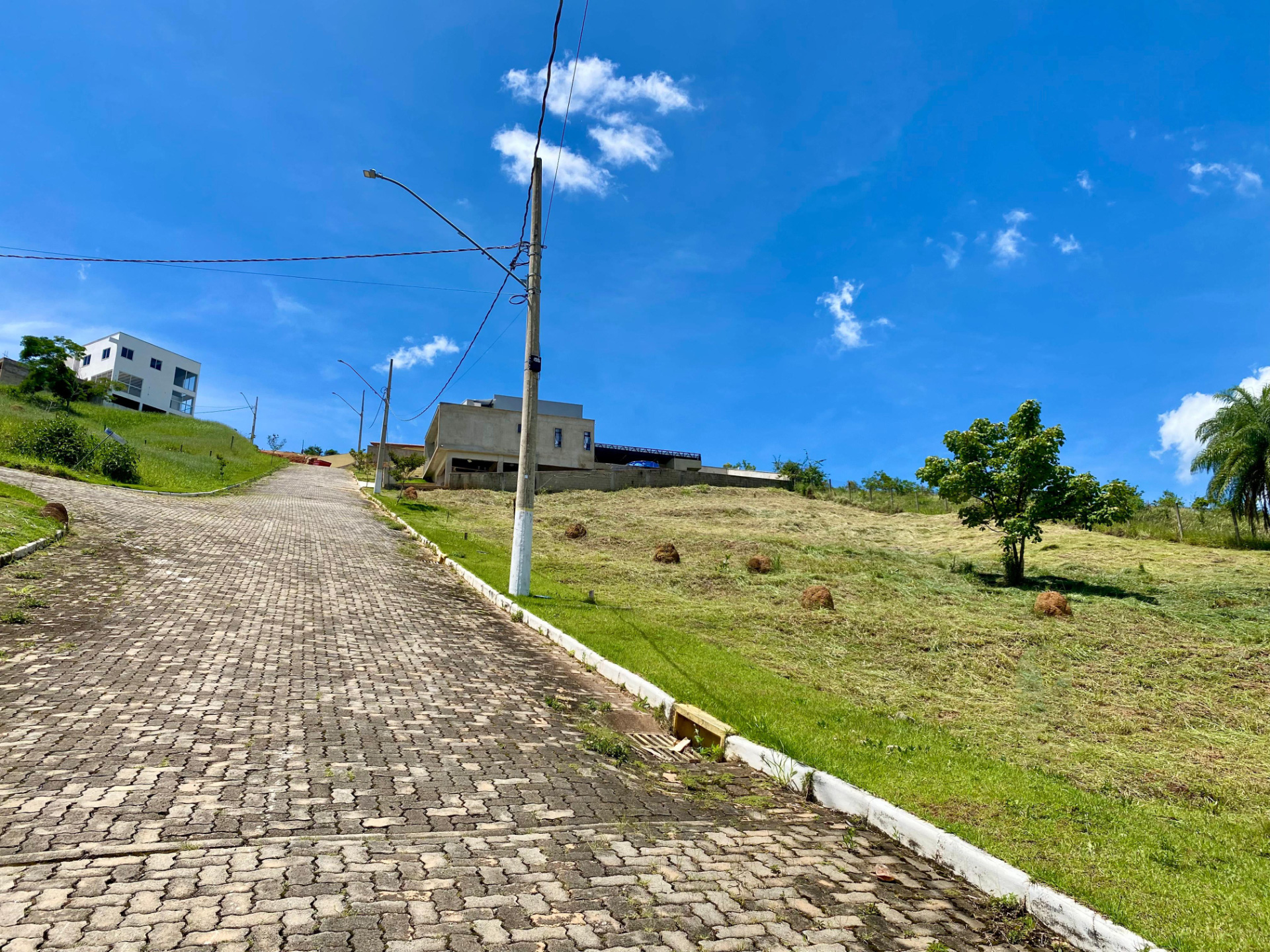 Salvaterra: Terreno de 491 m², cercado pela natureza., foto 5