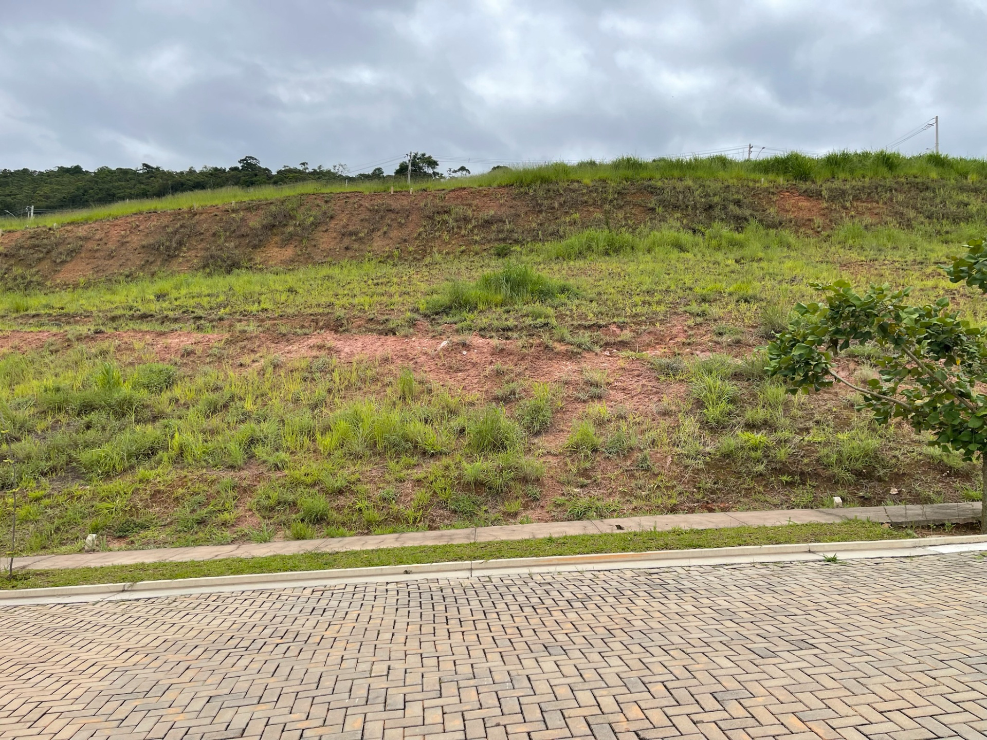 Vina Del Mar: Terreno de 300 m² em aclive. Venda., foto 2