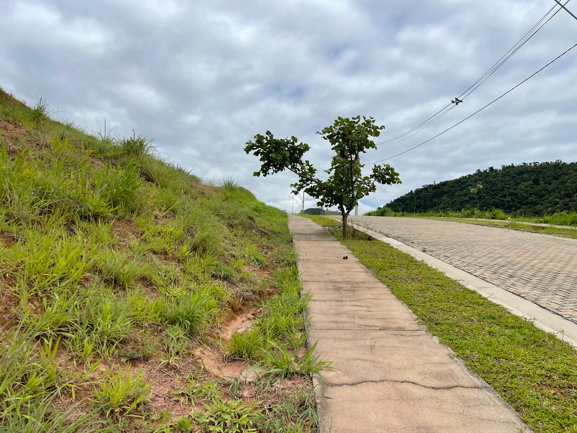 Vina Del Mar: Terreno de 300 m² em aclive. Venda., foto 3