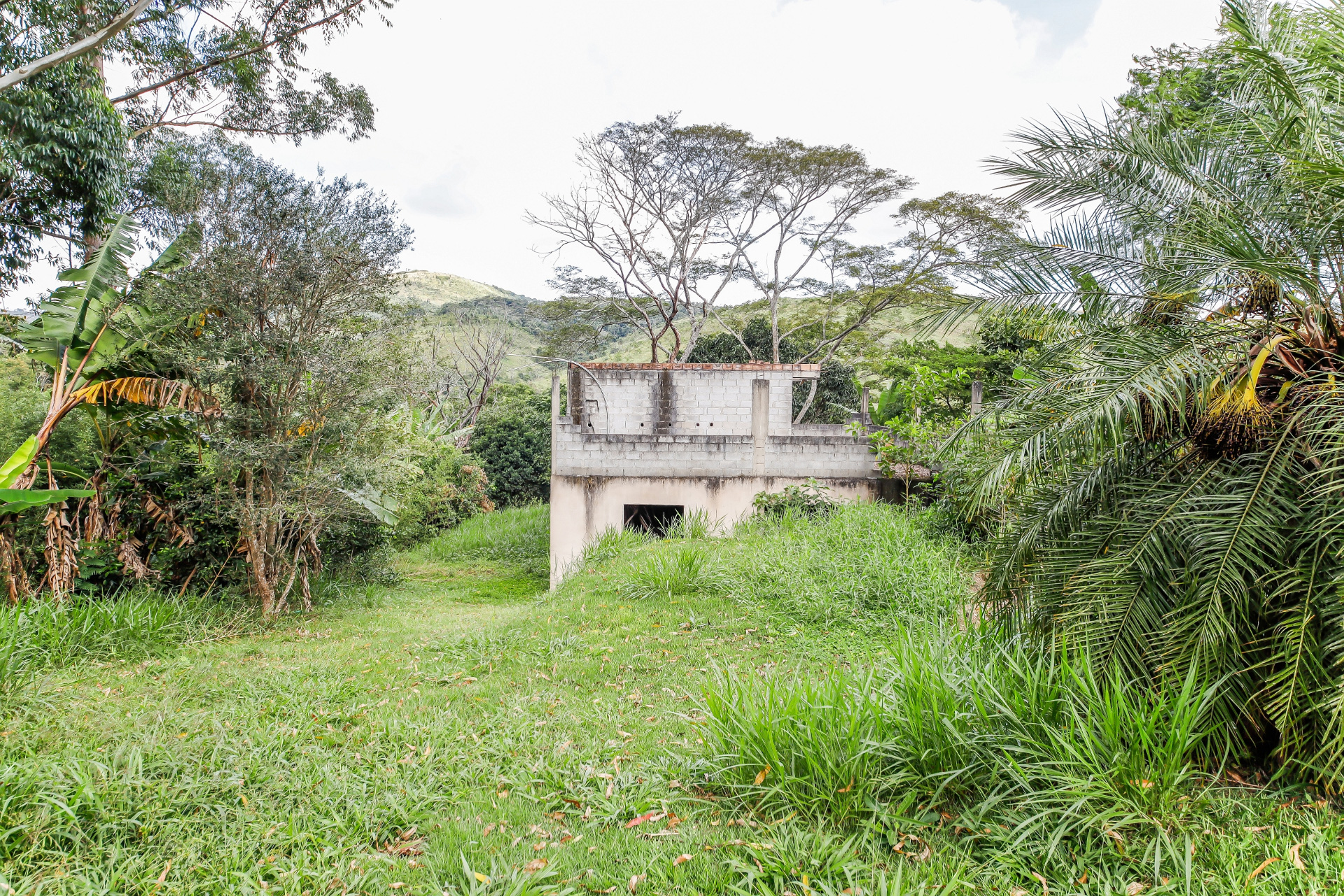 Salvaterra: Terreno de 3 mil m² com casa de 166m² e 2 vagas, foto 29
