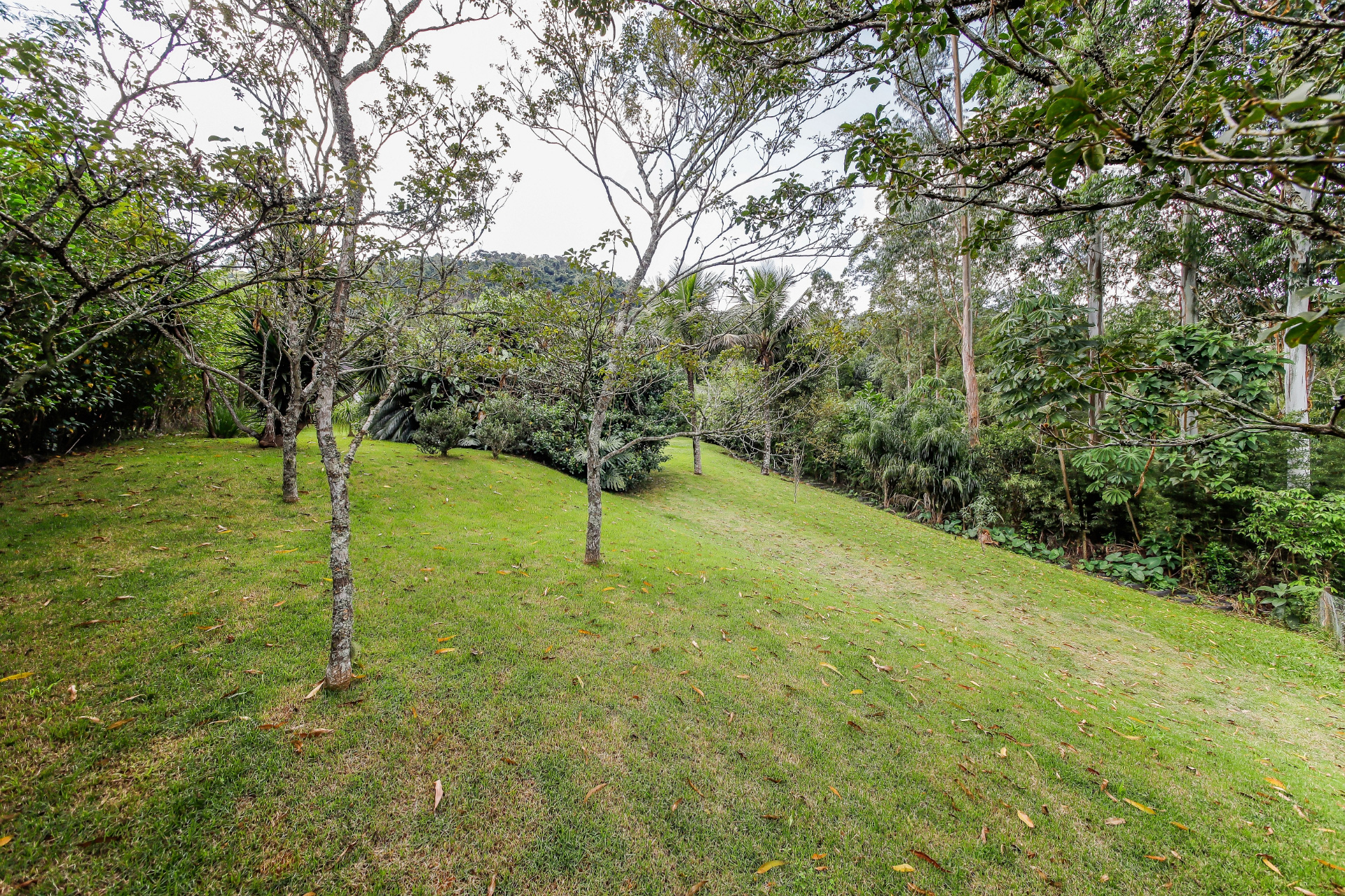 Salvaterra: Terreno de 3 mil m² com casa de 166m² e 2 vagas, foto 28