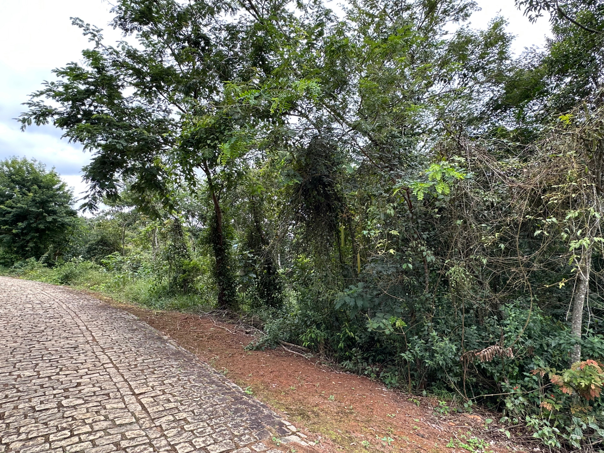 Novo Horizonte: Terreno de 1.120 m² para projeto., foto 2