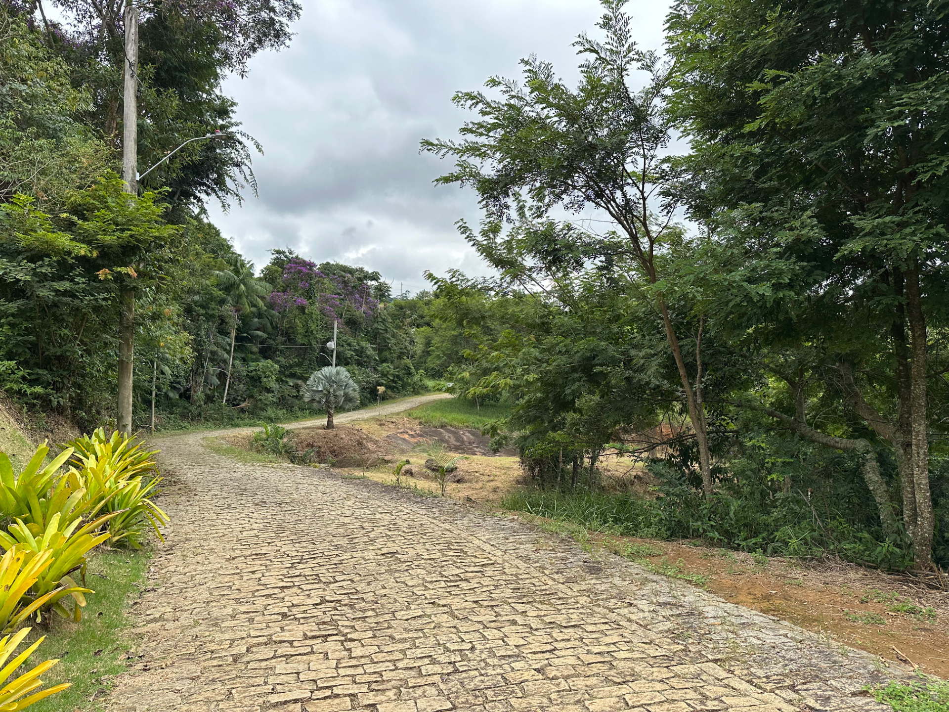 Novo Horizonte: Terreno de 1.120 m² para projeto., foto 4