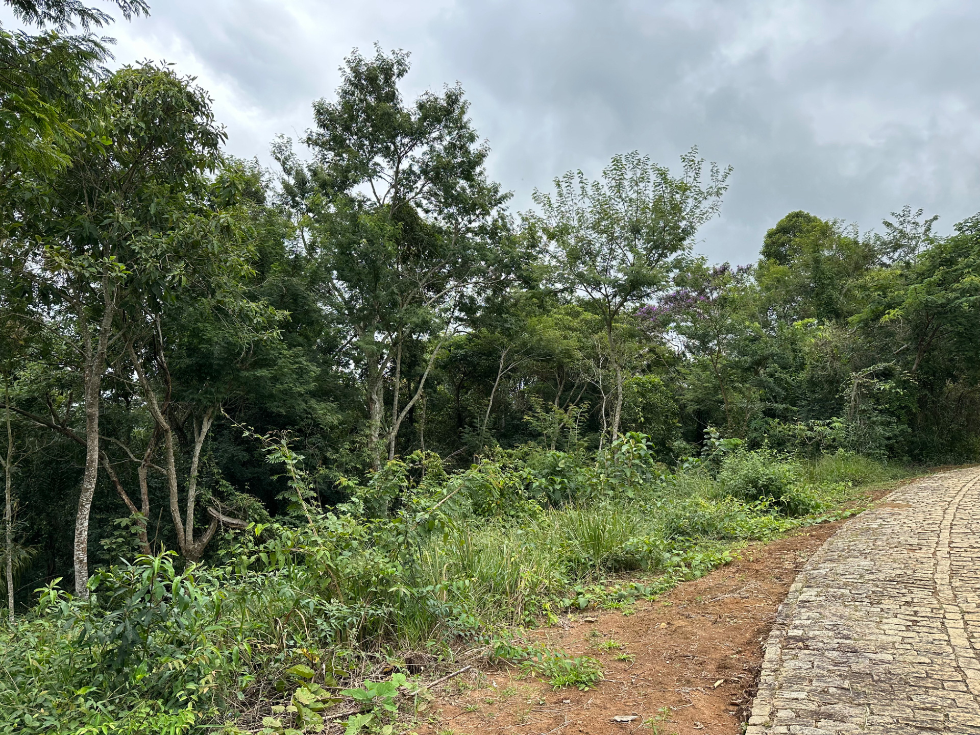 Novo Horizonte: Terreno de 1.120 m² para projeto., foto 1
